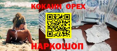 молекула духа Сланцы