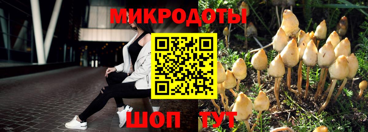 Батайск  Галлюциногенные грибы ЛСД  Галлюциногенные грибы Psilocybine cubensis  Вход с VPN 